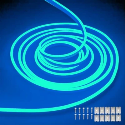 Image of balabaxer Ice Blue Neon LED Strip Lights，16.4 ft/5m 12V DC 600 SMD2835 LEDs Waterproof Rope Light for Indoor Outdoor Home Decoration （ No Power Adapter）