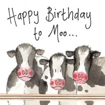 Image of Alex Clark Happy Birthday To Moo Cow Card Dairy Animal Funny Farm Countryside Greetings Cards for Designed and Printed in the UK
