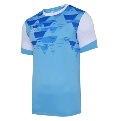 Image of Umbro Childrens Unisex Childrens/Kids Vier Jersey (Sky Blue/White) Size 11 12Y