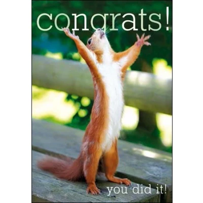 Image of Woodmansterne Congratulations Card Squirrel (0277)