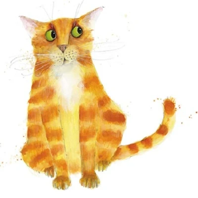 Image of The Great British Card Company Ginger Cat Animal Magic Square Art Greeting Blank Inside Any Occasion AGAM0096