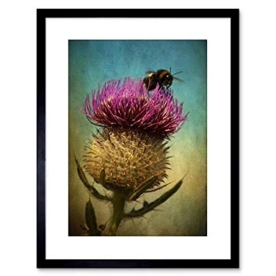 Image of Wee Blue Coo Photo Bumble Bee Thistle Flower Scotland Framed Wall Art Print