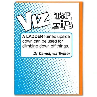 Image of Brainbox Candy Official Viz Top Tips Birthday Card Hilariously Funny &#039;Ladder&#039; Cheeky Alternative Humour For Him Her Men Women Friend Mates Sold