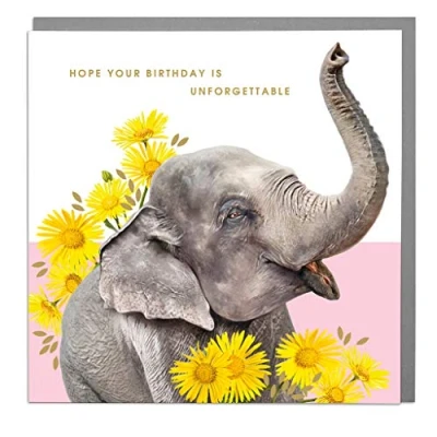 Image of Elephant Unforgettable Birthday Card with Grey Envelope by Lola Design