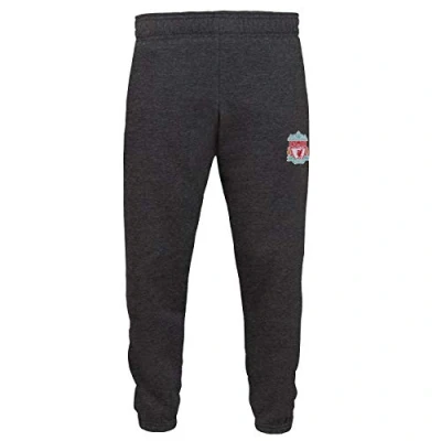Image of Liverpool FC Official Gift Boys Slim Fit Fleece Joggers Jog Pants Grey 6 7 Years