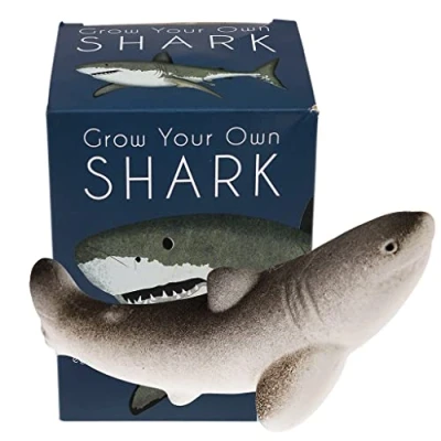 Image of Rex London Grow Your Own Giant Hatching Shark Egg