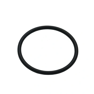 Image of hansgrohe O Ring 20x1.5mm (98197000)
