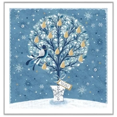 Image of Noel Tatt Charity Christmas Cards Pack of 10 with Artistic Partridge in a Pear Tree Snowy Design Eco Friendly Xmas Multipack Envelopes