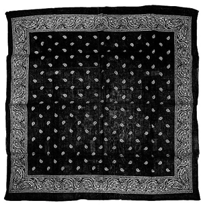 Image of Zac&#039;s Alter Ego Lightweight Meter x Retro Paisley Print Square Scarf/Shawl