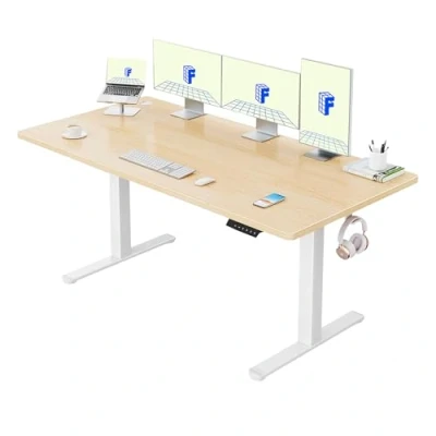 Image of FLEXISPOT QN1+160 * 80cm Standing Desk ONE PIECE Desktop Electric Height Adjustable Sit Stand Up with Backpack Hook Memory Smart Pannel