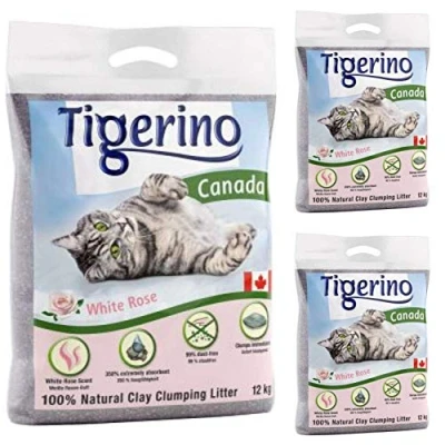 Image of Tigerino Canada White Rose Fragrance Clumping Clay Cat Litter 36KG A Scented Antibacterial Disposable And Hypoallergenic Hygiene With Smell Control Formula Free 4.5cm Natural Catnip Ball