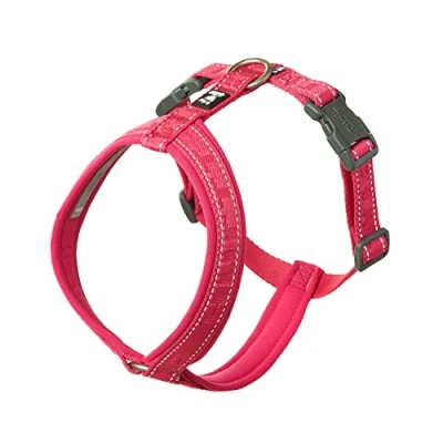 Image of Hurtta Casual ECO Dog Y Harness, Ruby, 12 14 in