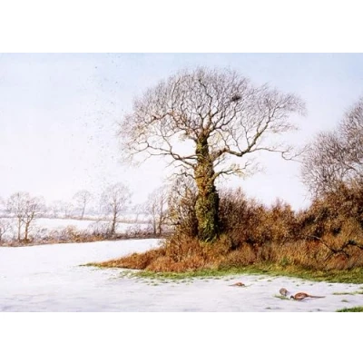 Image of Start of the Thaw. Landscape and Pheasant Christmas Card by Dick Twinney Sustainable Wildlife Greeting (5x7 inches)