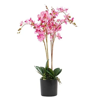 Image of Leaf Design UK Realistic Artificial Orchid Flower Display in Pot