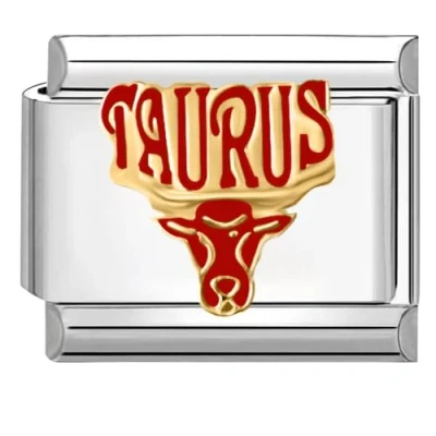 Image of Quiges 9mm Italian Style Charm Link Module Stainless Steel Horoscope Taurus for Bracelets