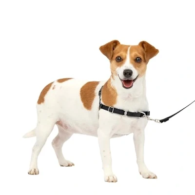 Image of PetSafe Easy Walk Harness, No Pull Walking Harness for Dogs, Adjustable Fit, Includes 1.8m Lead, Small Black