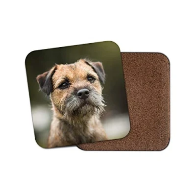Image of 1 x Border Terrier Coaster Dog Puppy Cute Cheeky Kids Animals Pets Fun #15940
