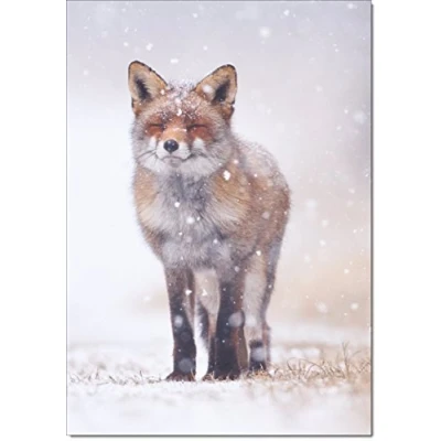 Image of doodlecards Pack of 10 Christmas Cards and Envelopes Wildlife Fox. Printed in UK, Premium Quality &amp; 100% Recyclable.