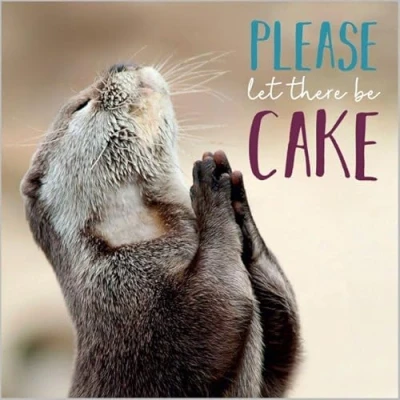 Image of Photographic Greeting Card (ABA 10716) Birthday &#039;Praying Otter&#039; Please Let There be Cake from The Rapture Range