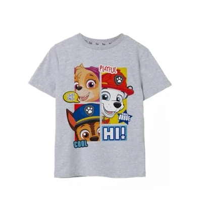 Image of Paw Patrol Boys T Shirt Chase Marshall Skye Always Brave Cool Playful Short Sleeve Graphic Tee for Kids Grey Sleeved Lightweight Fashion Top Movie Series Merchandise Gift Children
