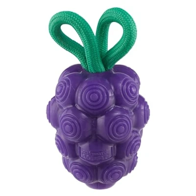 Image of Outward Hound by Planet Dog Dental Grapes 2 in 1 Chew Toy and Treat Stuffer, Medium, Purple