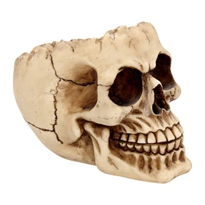 Image of Nemesis Now Lobo Ashtray 13.5cm Ivory