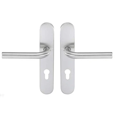 Image of Bricard 666458 Set of Stainless Steel Handles on Tempo Pop Plate for Entrance Door (for European Cylinder)