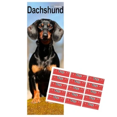 Image of Dachshund Calendar 2025 Slimline with FREE Organisational Stickers
