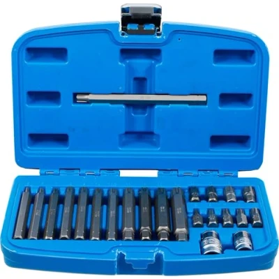 Image of BGS 5013 Bit Set 10 mm (3/8&quot;) hex Drive Spline (for Ribe) 22 pcs.