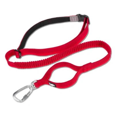 Image of Truelove Bungee Dog Lead Hands Free Leash Adjustable Elastic Shock Absorbing Long Cord TLL2271 (L, Red)