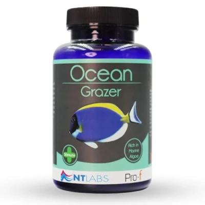 Image of NT Labs Pro f Ocean Grazer, Food For Grazing Herbivorous Marine Species, Bottom Feeding Fish Sinking 13mm Wafer, Nutritious Feed, SIZE 110 gm