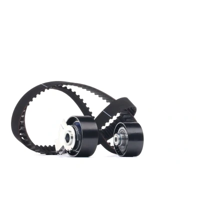 Image of 0831L2 Timing belt kit GATES FleetRunner Micro V Stretch Fit K025581XS PEUGEOT: 308 II Hatchback, 207 I Hatchback