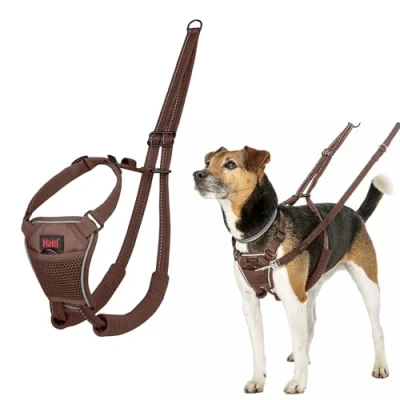 Image of HALTI No Pull Harness to Stop Your Dog Pulling on the Leash. Adjustable, Lightweight and Easy Use. Reflective Training for Toy Small Dogs (Size XS, Deep Walnut)