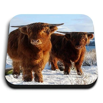 Image of 1 x Square MDF Fridge Magnet Highland Cow Pair Scotland UK 45331