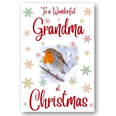 Image of Second Ave Grandma Christmas Robin Xmas Holiday Festive Greetings Card