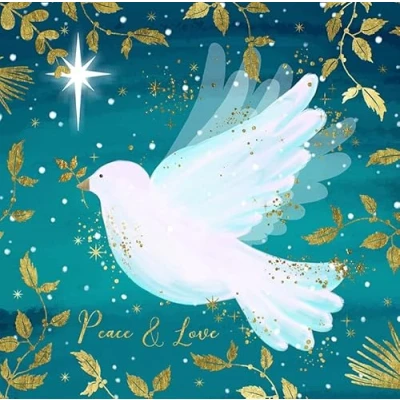 Image of Noel Tatt Charity Christmas Cards Pack of 10 with 2 Artistic White Dove Designs Eco Friendly Xmas Multipack Envelopes