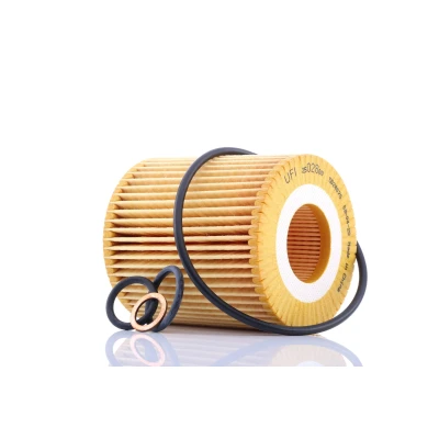 Image of 818013 Fuel Filter UFI 26.033.00 Insert VAUXHALL: Mokka / X, CHEVROLET: Aveo Hatchback