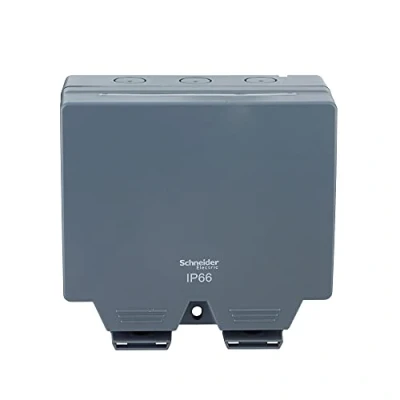 Image of Schneider Electric Lisse Weatherproof IP66 2 gang switched 13A socket LWP3020