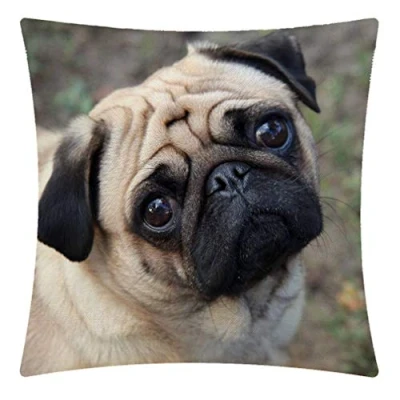 Image of CANSEGO Funny Pug Dog Look At You Throw Pillow Case,Cotton Linen Cushion Cover Square Standard Home Decorative for Sofa Bedroom Men/Women 18x18 Inch