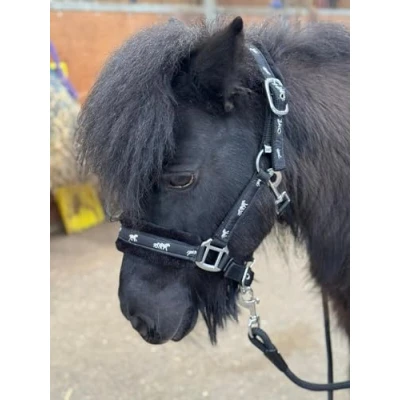 Image of Equipride Horse Print Padded Nylon Headcollars with Matching Lead Rope Black (Cob)