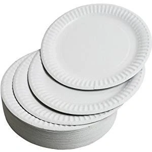 Image of REAL ACCESSORIES Large Paper Plates, Disposable Plates 9 Inch Used for Hot Cold Food Pack of 100 Perfect Christmas Birthday Picnic Any Household Party