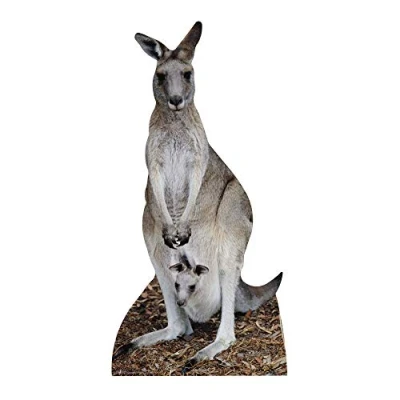 Image of Star Cutouts Cut Out of Kangaroo