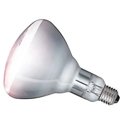 Image of Infra red Heat Bulbs 150w 170w 250w Clear Ruby Catering Lamps (250w, Clear)