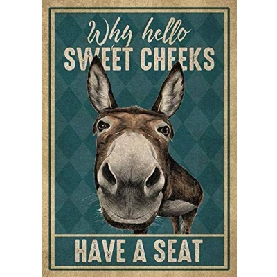 Image of Donkey Why Hello Sweet Cheeks Have A Seat Funny Poster Garage Wall Decor Metal Sign 8x12 inch