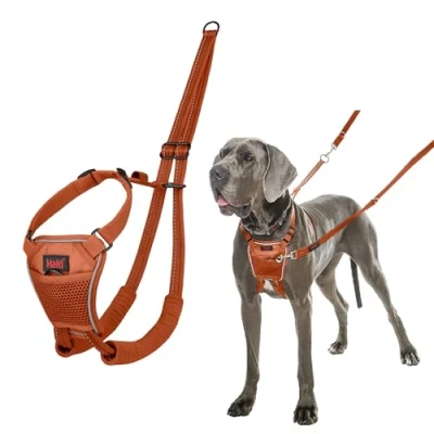 Image of HALTI No Pull Anti Harness Prevents Your Dog from Pulling on the Lead, Padded Chest and Leg Strap, Reflective Strap Material, Easy Adjustment Use (Size L, Dark Orange)