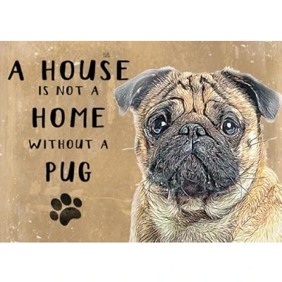Image of Small (150 x 200mm) Metal Sign a House is Not Home Pug