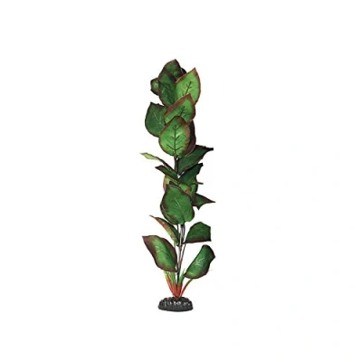 Image of Cryptocorne Green &amp; Red Silk Like Plant 50cm by KenKoi