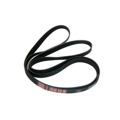 Image of 1860 9PHE CONTITECH 144001958 Tumble Dryer Drive Belt GENUINE HOTPOINT INDESIT