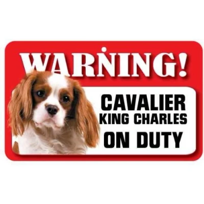 Image of Cavalier King Charles Tan and White (Blenheim) Dog Pet Sign Laminated Card