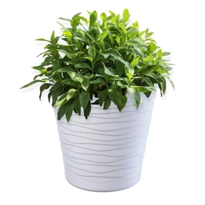Image of KADAX Plastic Flowerpot, Indoor Plant Pot with Saucer, Lightweight Flower in Several Colours and Sizes, Unique Planter for Houseplants (17 cm, White)